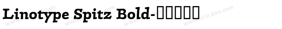 Linotype Spitz Bold字体转换
